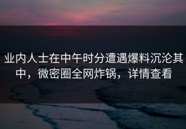 业内人士在中午时分遭遇爆料沉沦其中，微密圈全网炸锅，详情查看
