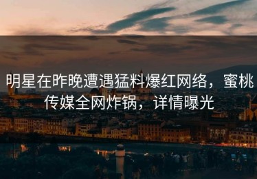 明星在昨晚遭遇猛料爆红网络，蜜桃传媒全网炸锅，详情曝光