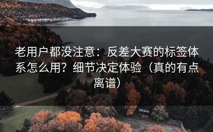 老用户都没注意：反差大赛的标签体系怎么用？细节决定体验（真的有点离谱）