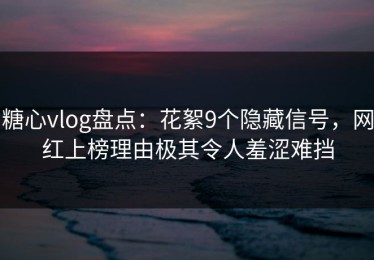 糖心vlog盘点：花絮9个隐藏信号，网红上榜理由极其令人羞涩难挡