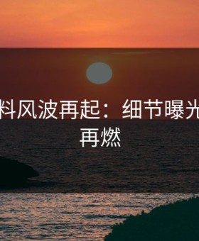 明星黑料风波再起：细节曝光，争议再燃