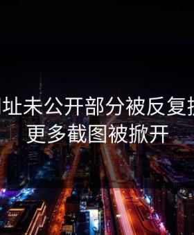 51网网址未公开部分被反复提起后，更多截图被掀开