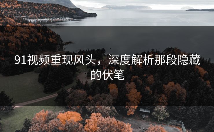 91视频重现风头，深度解析那段隐藏的伏笔